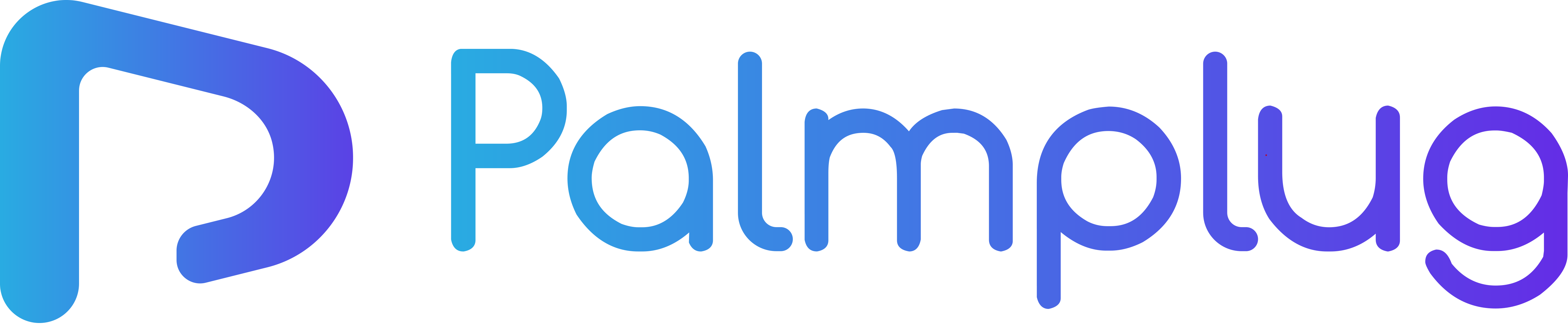 Olaoluwa_Adesanya_PalmPlug Logo